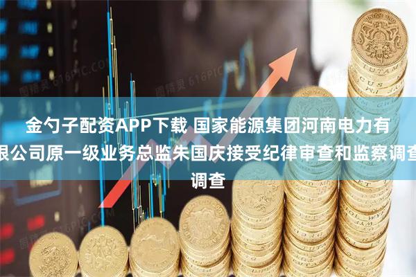 金勺子配资APP下载 国家能源集团河南电力有限公司原一级业务总监朱国庆接受纪律审查和监察调查