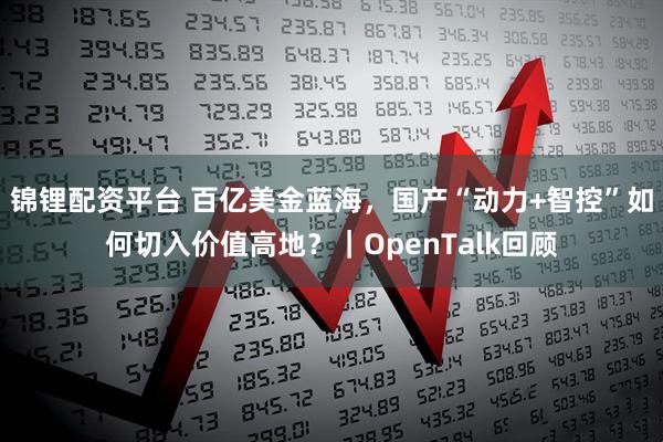 锦锂配资平台 百亿美金蓝海，国产“动力+智控”如何切入价值高地？｜OpenTalk回顾