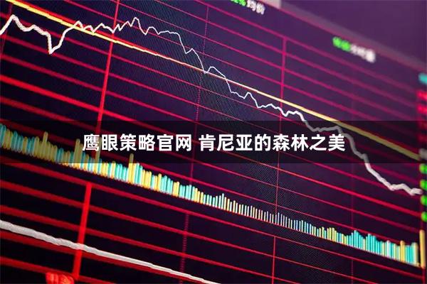 鹰眼策略官网 肯尼亚的森林之美